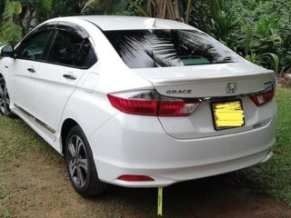 Honda Grace available for rent